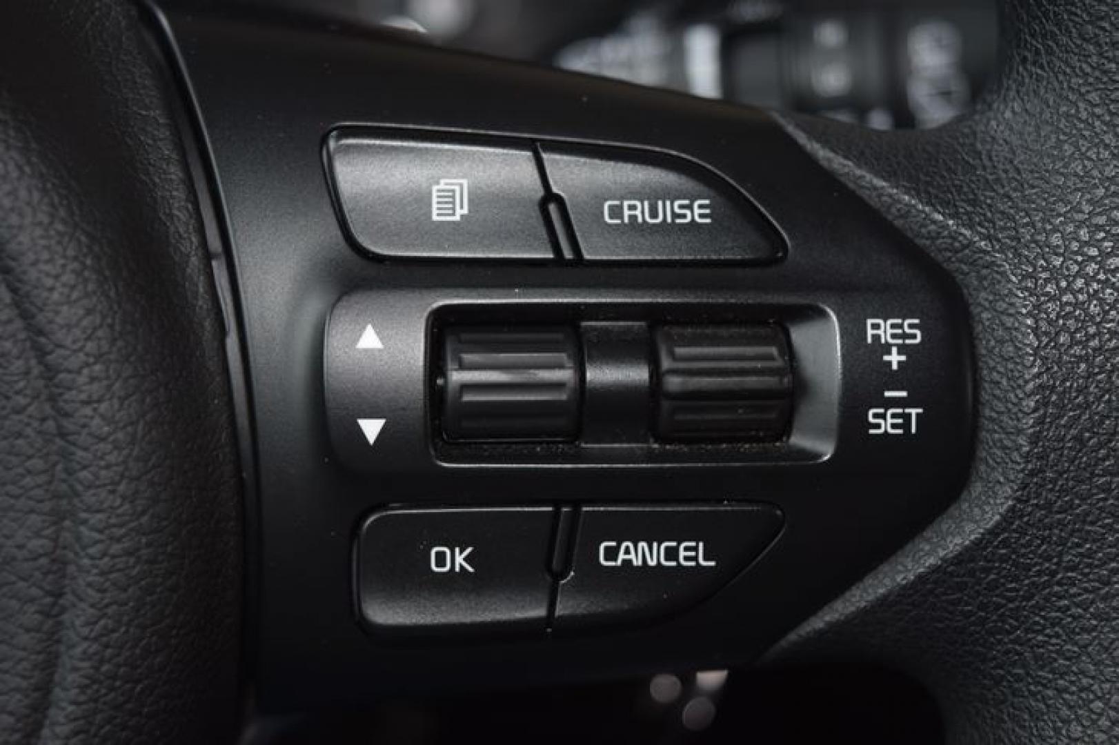 2017 Titanium Silver /Satin Black Kia Sorento L 2WD (5XYPG4A32HG) with an 2.4L L4 DOHC 16V engine, 6-Speed Automatic transmission, located at 11056 N 23rd Dr #101, Phoenix, AZ, 85029, (623) 434-4252, 33.587704, -112.109962 - Photo#24