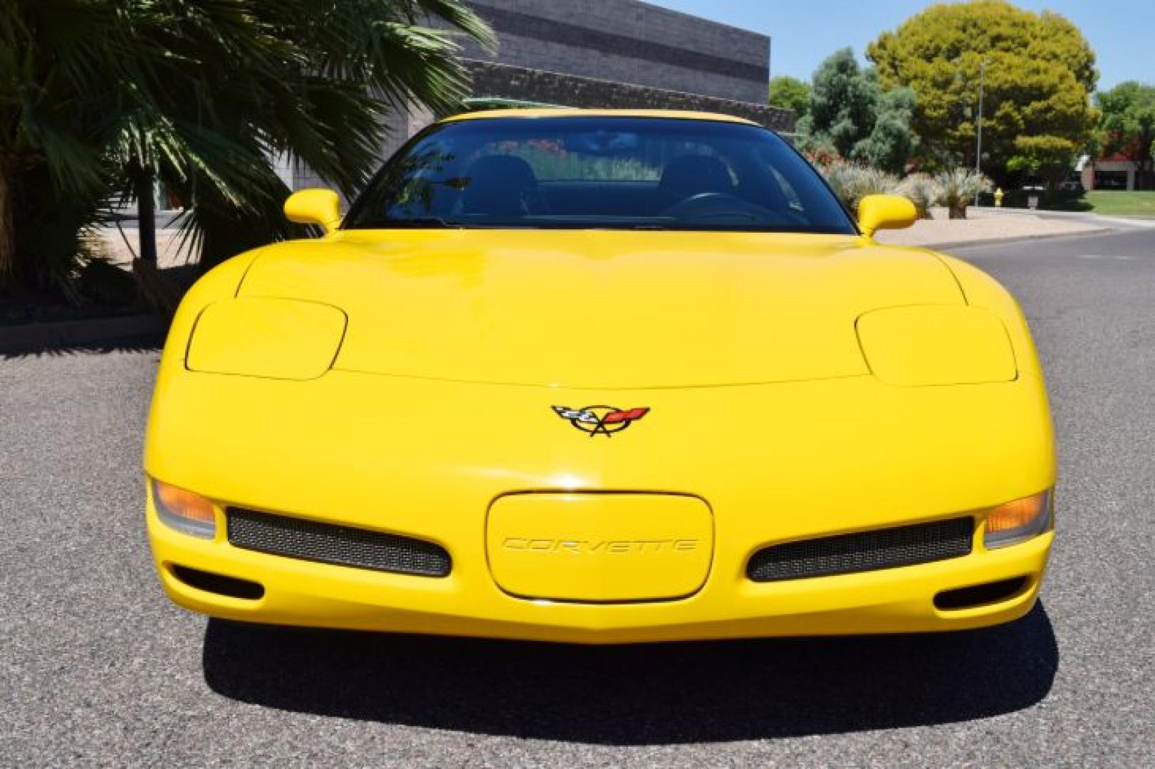 2002 Millenium Yellow /Black Chevrolet Corvette Z06 (1G1YY12S025) with an 5.7L V8 OHV 16V engine, 6-Speed Manual Overdrive transmission, located at 11056 N 23rd Dr #101, Phoenix, AZ, 85029, (623) 434-4252, 33.587704, -112.109962 - Photo#8